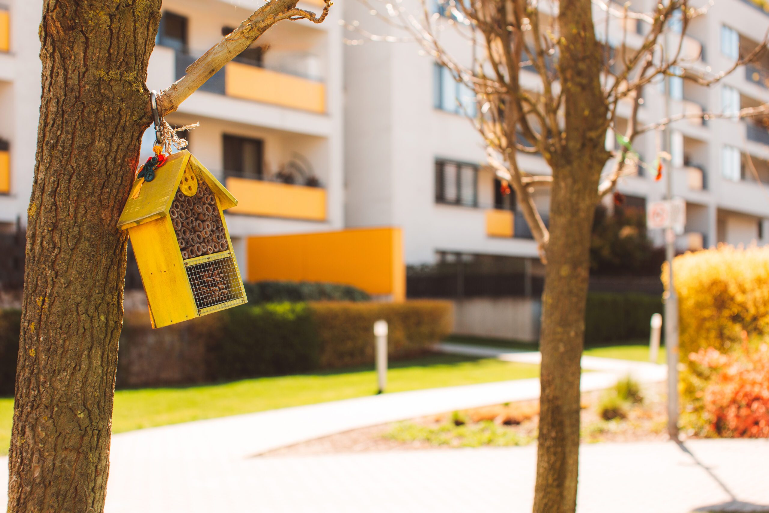 Naši malí susedia, ktorí robia veľké veci 