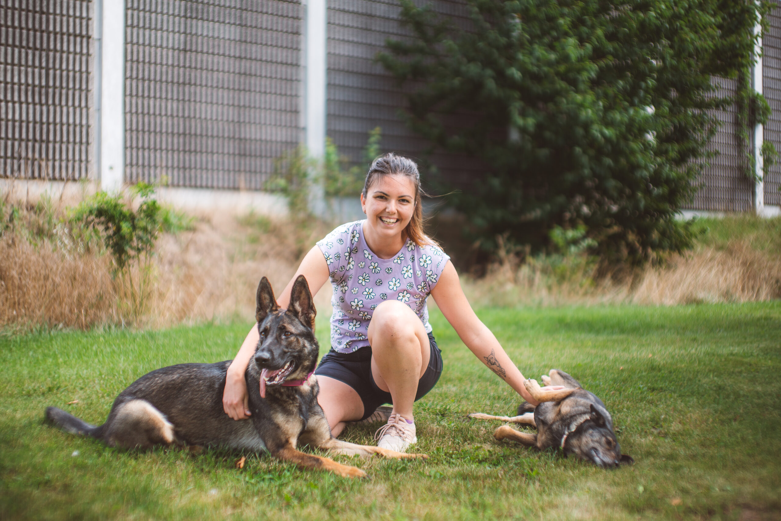 Pes potrebuje rozmýšľať, nie len behať